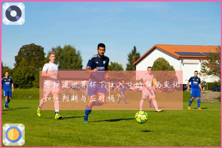想知道世界杯下注入口的临场变化如何判断与应对吗？