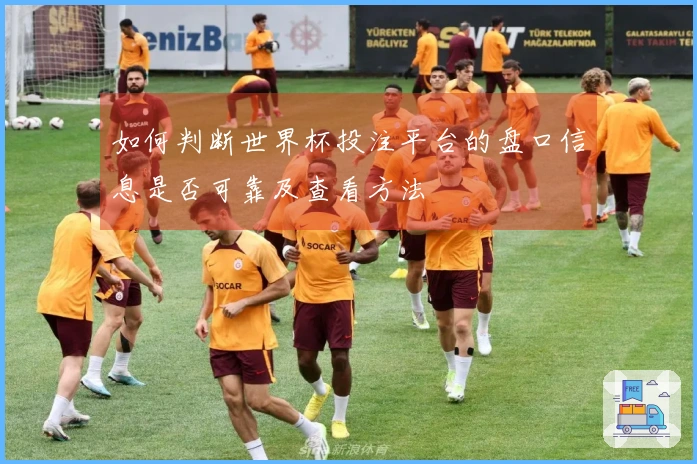如何判断世界杯投注平台的盘口信息是否可靠及查看方法