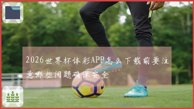 2026世界杯体彩APP怎么下载前要注意哪些问题确保安全