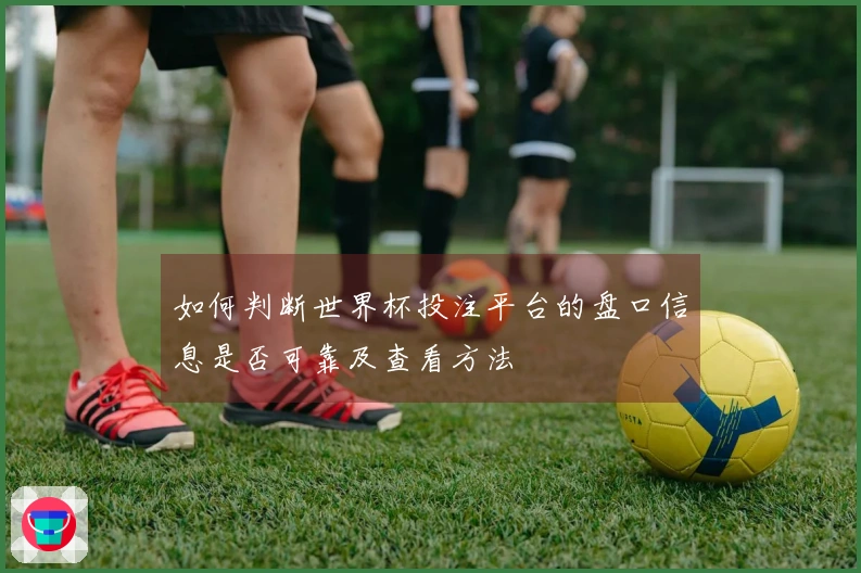 如何判断世界杯投注平台的盘口信息是否可靠及查看方法